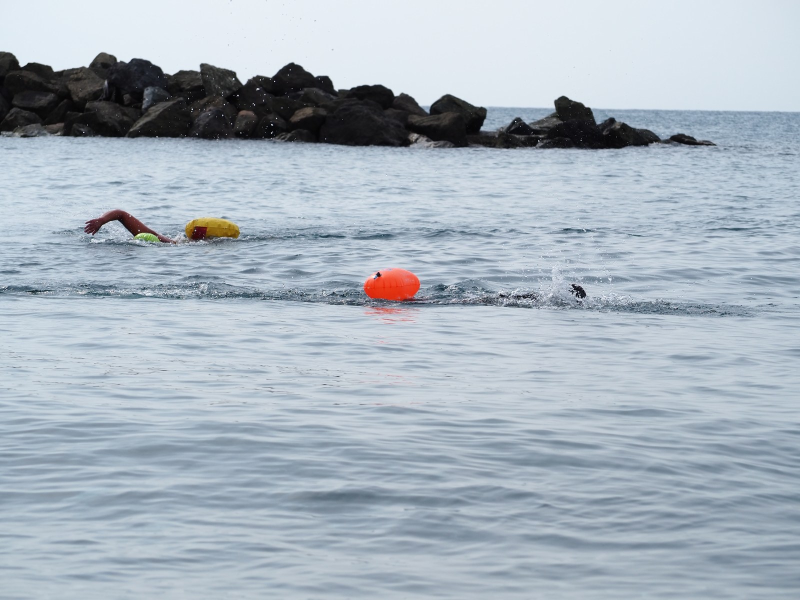 Foto 8 di 62 – Swimming treffen 2026