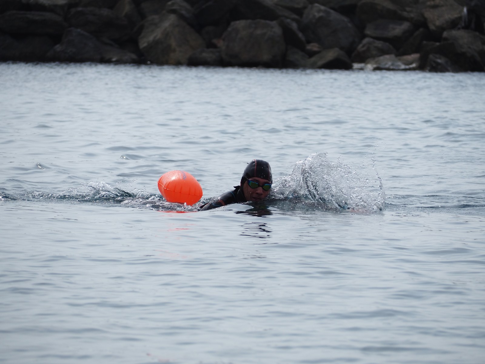 Foto 9 di 62 – Swimming treffen 2026