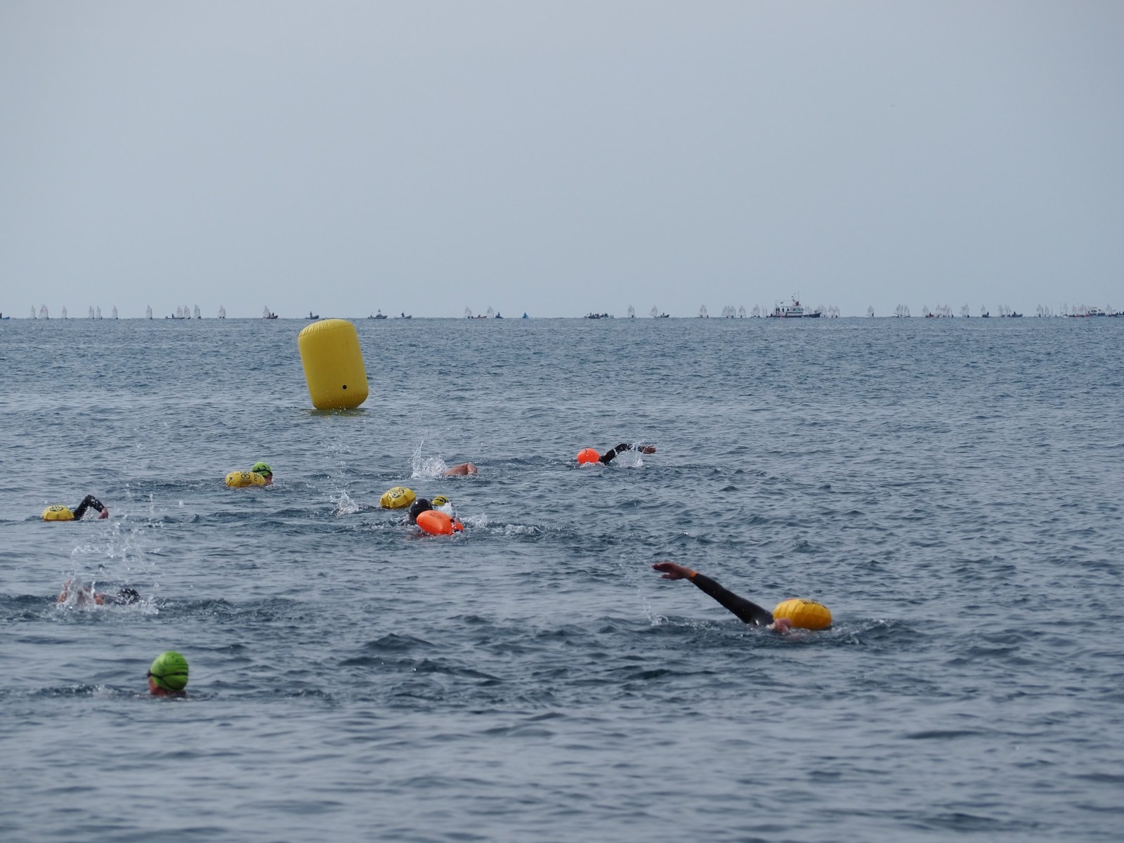 Foto 61 di 62 – Swimming treffen 2026